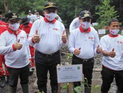 Peringati Hari Mangrove Sedunia, Pemko Dumai Tanam 2000 Pohon Mangrove Di Wilayah Pesisir Kota Dumai