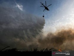 15 Hektar Lahan Gambut Dumai Terbakar, Helikopter Dikerahkan