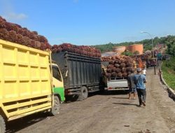 Wagub Aceh Saat Ketemu Truk Pelat Medan Tanya Sopir ‘Sudah Makan