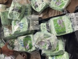 Polda Riau Gagalkan Penyelundupan 30 Kg Sabu di Pelabuhan Roro Dumai