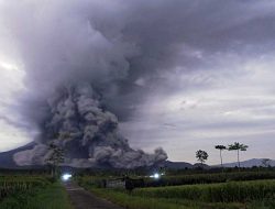 panikan Pendaki Gunung Semeru Saat Dengar Kabar Erupsi Dahsyat