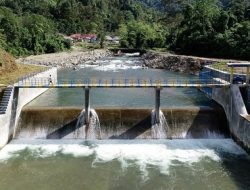 Energi Ramah Lingkungan Ini Jadi Penerangan Manusia Hutan Kala Malam