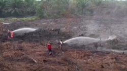 120 Hektar Gambut Dumai Padam Total